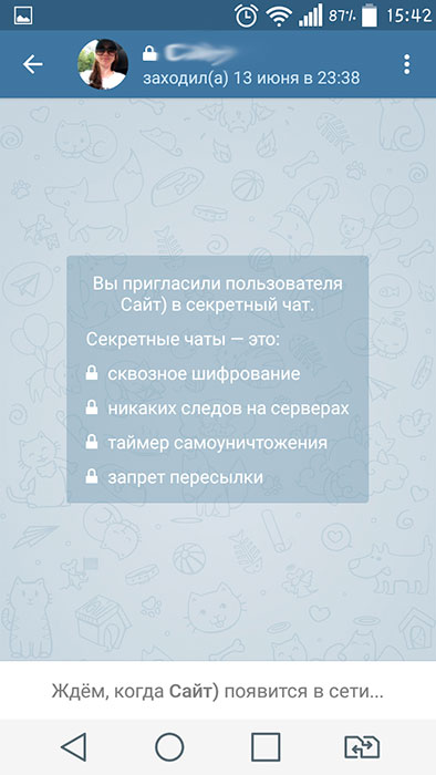 Так выглядит секретный чат в Telegram